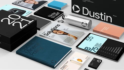 煥新視界，聚焦專業(yè) Dustin信息技術服務公司視覺形象與攝影擴印服務的戰(zhàn)略升級