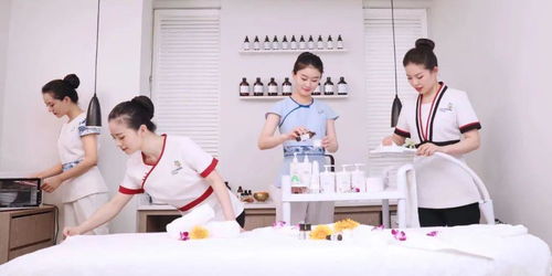 規(guī)范職業(yè)標(biāo)準(zhǔn)，助力行業(yè)提升——美容師國家職業(yè)等級(jí)認(rèn)定教材技術(shù)和服務(wù)標(biāo)準(zhǔn)拍攝工作圓滿完成